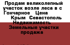 Продам великолепный участок возле леса в с. Гончарное › Цена ­ 800 000 - Крым, Севастополь Недвижимость » Земельные участки продажа   